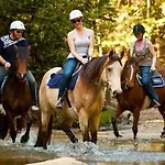 Dreamy Luxury Two-bedroom Penthouse With Special Forest, Mountain And Sea Views アランヤ
